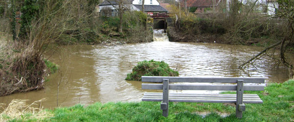 Natuur in Vlaamse Ardennen