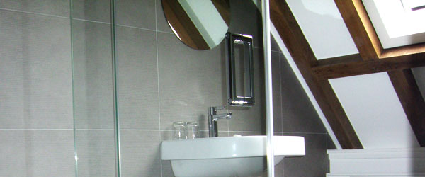 De badkamer van zwarte kamer